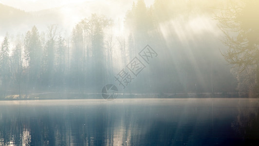 底部闪耀海报在湖边穿过树木的阳光照耀着太的芒图片