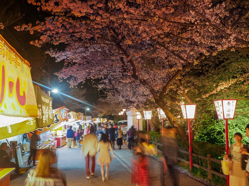 郡山花见2017年4月9日在本传统樱花夜庆典下在樱花露天享受夜间节日的人旅行图片