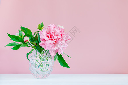 木头问候早上好粉红色木质背景的水晶花瓶中粉红色牡丹复制空间粉红色木质背景上水晶花瓶中的粉红色牡丹特写早晨背景图片