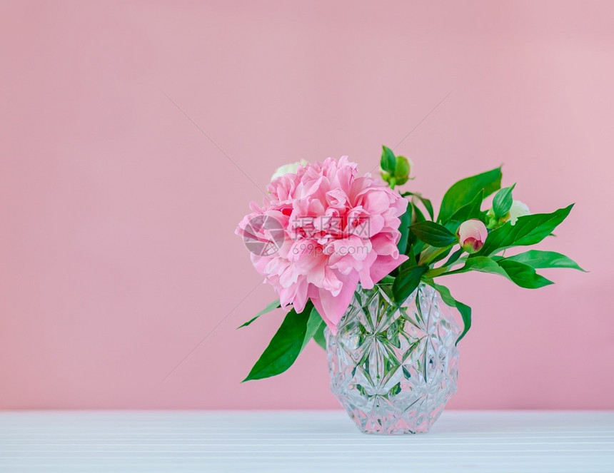 粉色的早上好红色木质背景的水晶花瓶中粉红色牡丹复制空间粉红色木质背景上水晶花瓶中的粉红色牡丹特写芽玫瑰图片