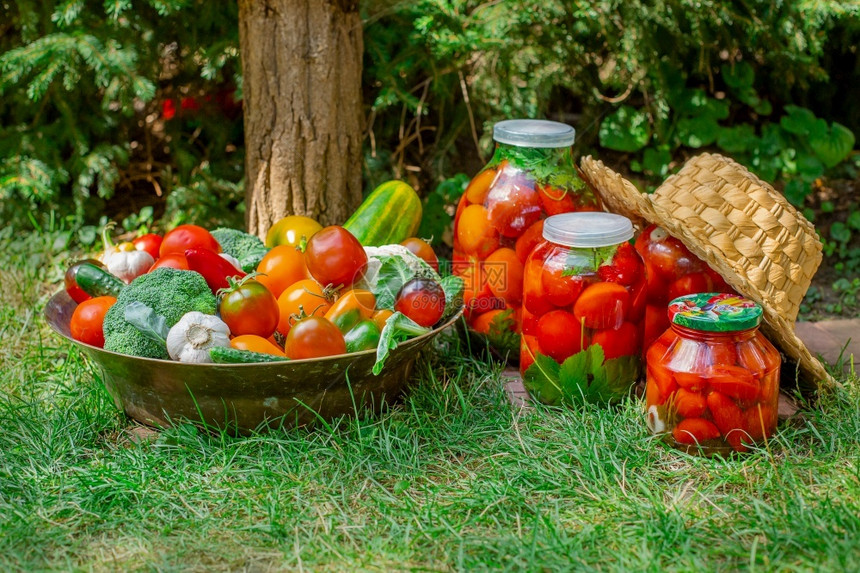 保护在罐子中生产装番茄加工你自己的蔬菜作物在罐中生产装番茄香料庄稼图片