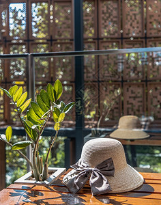 建筑学闲暇阳台桑给巴尔金树附近的暑假帽子放在木制松椅上作为假日背景图片