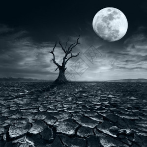 正东津的月出恐惧满月之夜孤单的枯树在大云天下干旱时沙漠地貌破碎夜晚鬼设计图片