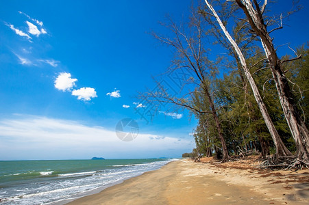 沙滩度假胜地海滩图片