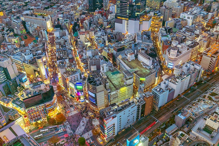 渡过日本东京晚上的顶端风景地标人们穿越图片