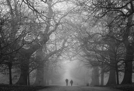 黑暗公园雾气森林小路上的两个人图片