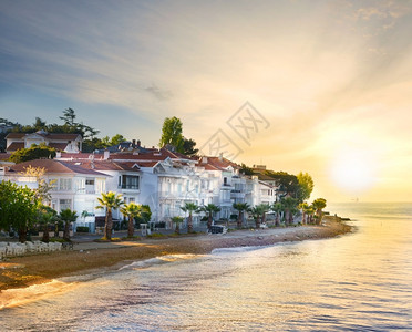 土耳其Prinsamp39群岛日落时棕榈树海滩景观阳光岛屿图片