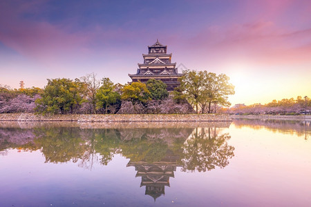 树木日本樱花季广岛城堡日本樱花季公园旅游图片