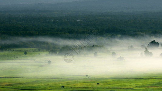 清晨在美丽的稻田上喷雾日落多路段天空图片