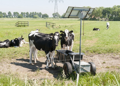 国内的夏天奶牛饮用太阳能气槽供暖农田图片