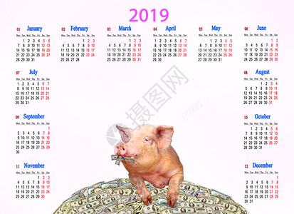 站在锦鲤上猪金融宠物2019年的日历有趣猪和满一堆美元的肥猪明年标志家庭动物们躺在一堆钱上花复制空间日历上办公室和家庭用2019年的日历用有设计图片