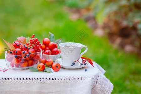 杏花园热的马克杯早上在花园里喝一杯带天堂苹果的白热茶自然背景模糊早上好在花园里喝一杯带天堂苹果的白热茶自然背景模糊维他命背景