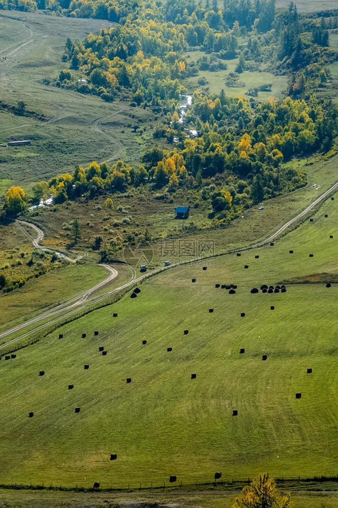 丰富多彩的草地上干捆收获牲畜饲料的干草地上捆收获牲畜饲料的干草好食物图片