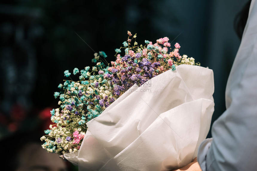 手拿着纸上包的干吉普西拉花束假期丰富多彩的美丽图片