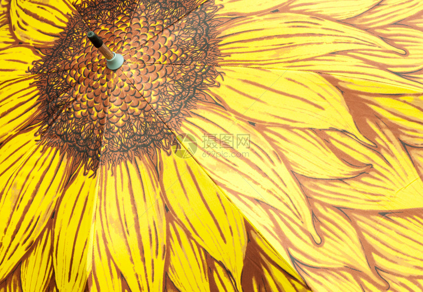 质地插图用于夏季的伞形向日葵节图片