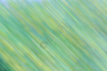 花地玛圣母堂幻想季节墙纸具有运动效果的绿色和黄自然背景摘要对角线和条形照片带有方向模糊度运动效果和长距离照射设计图片