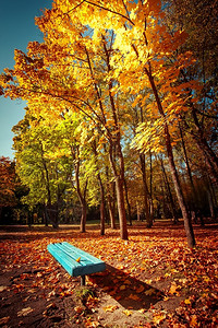 秋天公园的蓝色长椅图片