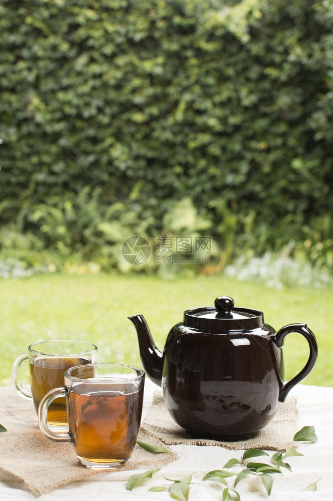 两杯透明的草药茶加壶桌椅菜园美丽的照片两杯透明的树粉茶加壶餐桌上菜园杯子玻璃奢华图片