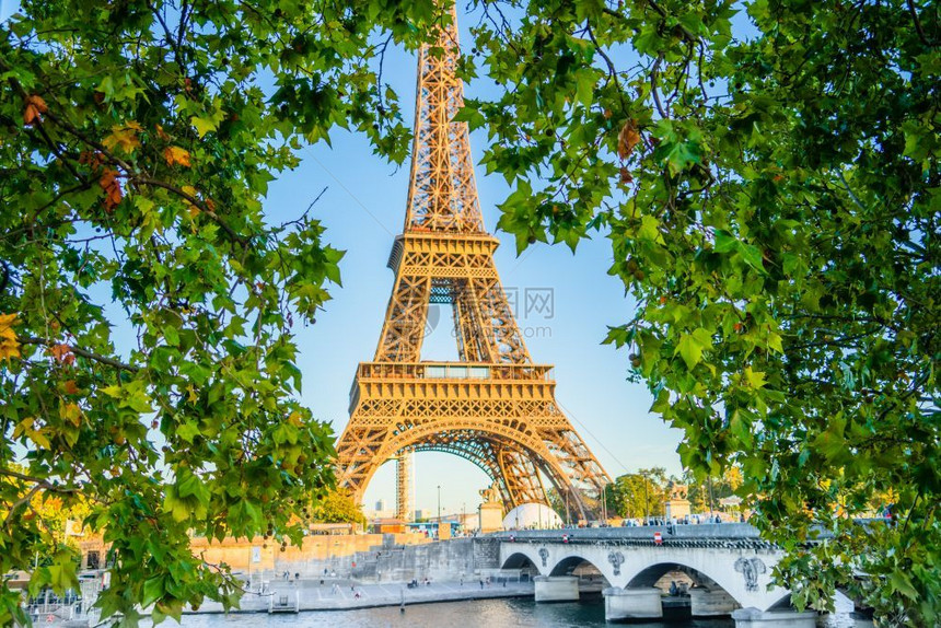 日落桥城市Eiffel塔巴黎法国透过绿叶看望图片