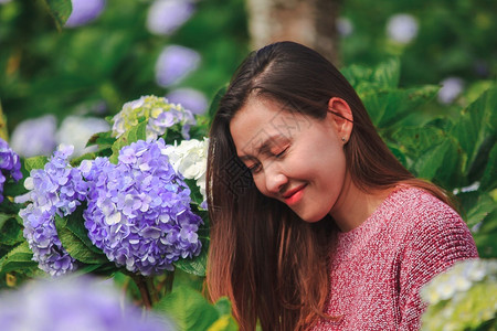 坐在绣球花园里的女人白色花园艺图片