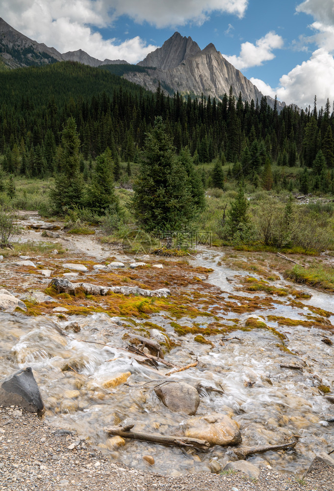 溪流湖加拿大艾伯塔省班夫公园BowValleyParkway附近的景观弓图片