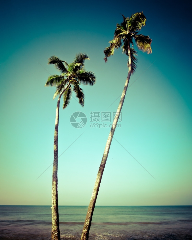 印度古老风格的图象蓝色天空下的美丽热带风景海洋和棕榈树垃圾摇滚环境采取图片