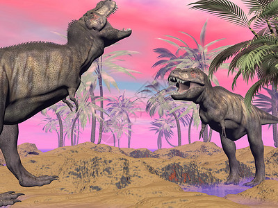 朱迪亚沙漠爬虫巨大的树木两个暴龙恐日落前在大自然上争论设计图片