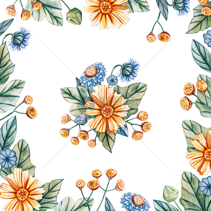 可爱的水彩野花卉方形框架有文字的地方白色背景上孤立的花朵水彩野卉方形框架有文字的地方绘画一种图片