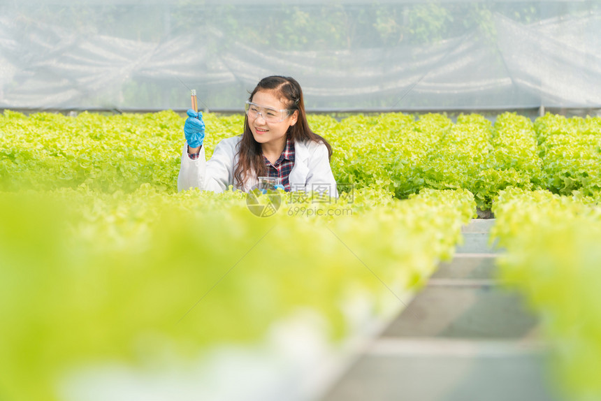 实习生花园营养农业工程师检查水培温室农场的酸碱度并在收获前测量有机蔬菜的生长情况农业技术概念图片