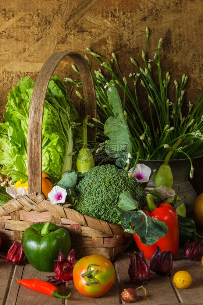 甜菜花园蔬草和水果作为烹饪的原料园艺图片