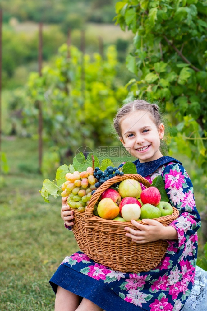 果园里抱着果篮的小女孩图片