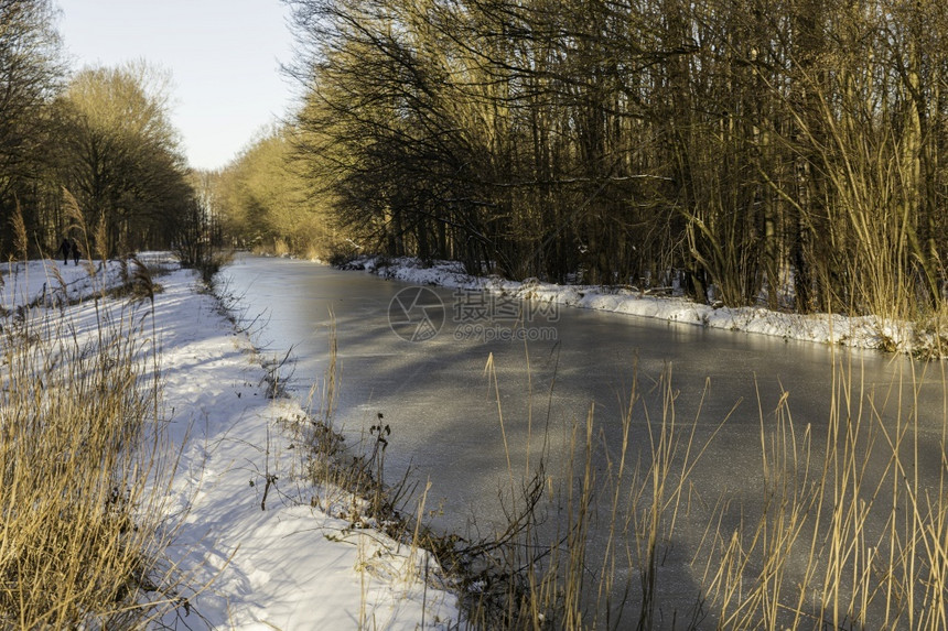 在Waterloopbos的冬季下雪这里的森林中用河流和森林可以找到旧规模的自来水工程型景观滑铁卢布斯旅游的图片