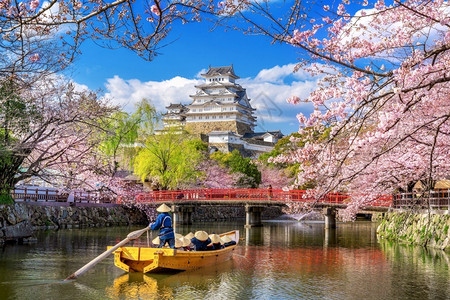 兵库吸引力日本仁济的樱花和城堡天空季节背景