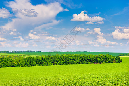 绿地上的树和夏日明亮阴云天空晴乡村的云景图片