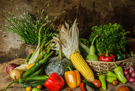 卷心菜蔬草和水果作为烹饪的原料成熟秋天图片