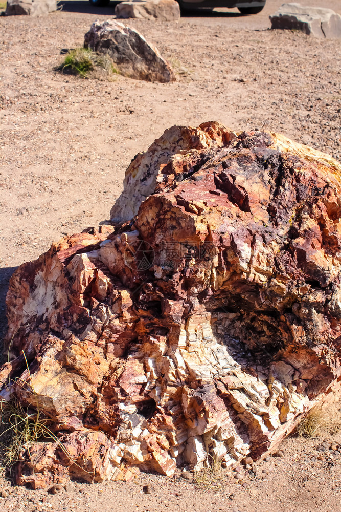岩石旅行游亚利桑那州6号公路上的贾斯珀森林被石化公园图片