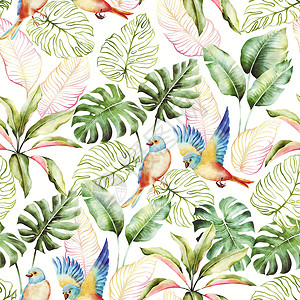 花园鸟水颜色异国鸟和棕榈叶异国印刷品背景的潮地印料风色异国鸟和棕榈叶时髦的插图丛林设计图片