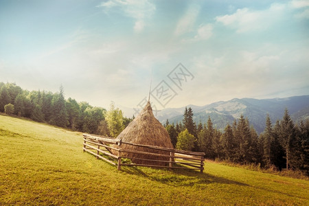 有机的蓝色收获高地喀尔巴阡山脉草原上堆的阳光明日晨风景图片