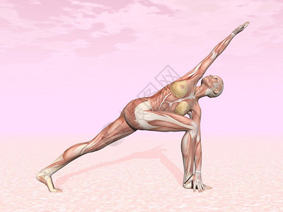 数字的粉色药物背景中可见肌肉的女旋转侧角瑜伽姿势女旋转侧角瑜伽姿势图片