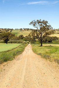 牧场在澳大利亚西南新威尔士州一条孤独的乡村公路旅行明尼斯图片