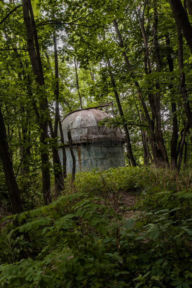 乌克兰基辅森林中旧遗弃的天文台树建筑学景观图片