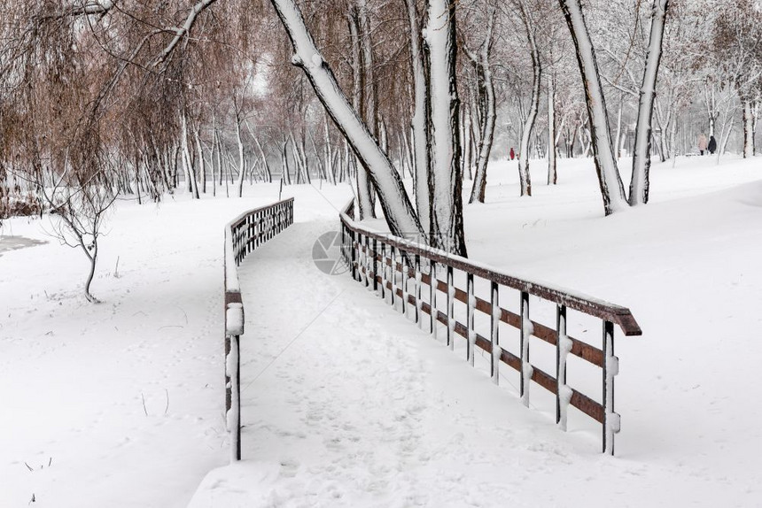 oopicapi宁静乌克兰基辅纳塔卡公园被雪覆盖的木环脚桥季节图片