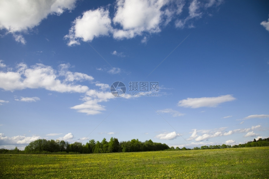 春风绿草地和蓝天空树太阳云图片