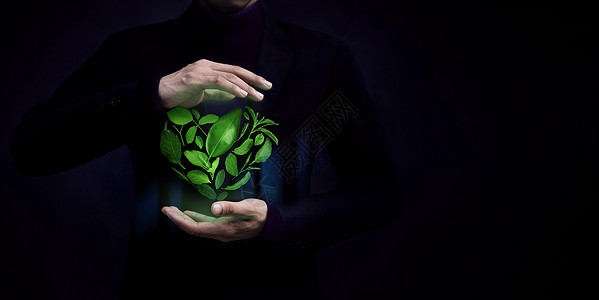 绿心黑豆和谐关心叶子ESG绿色叶作为形状的绿色叶概念由神之手保护的绿色能源可再生和持续资源环境和生态护理设计图片