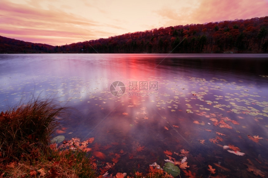 日落时森林湖的秋幕风景图片