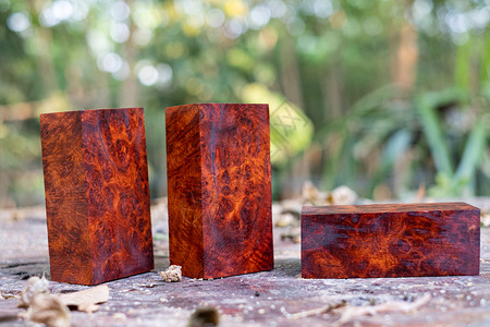 果块为了自然木材缅甸Padaukblurl木条纹外形制质美工艺术或背景图案科学名称为Pterocarpusmascarpus美丽的块背景