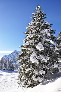 冬季雪景风光图片