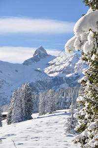 冬季雪景风光图片