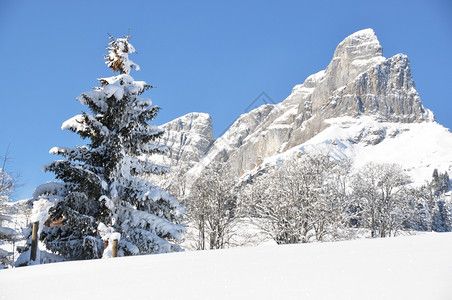 冬季雪景风光图片