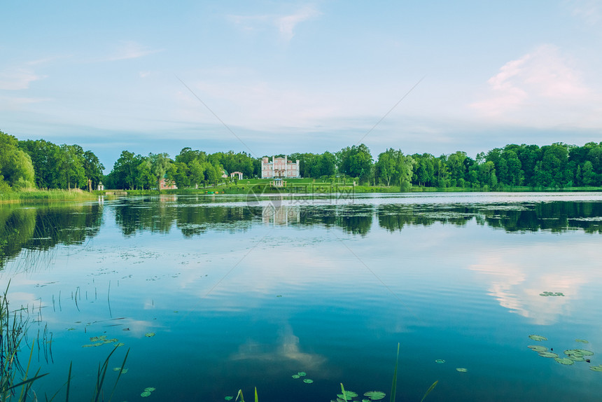 2017年拉脱维亚比里尼老粉红色卡塞尔市塔自然公园图片